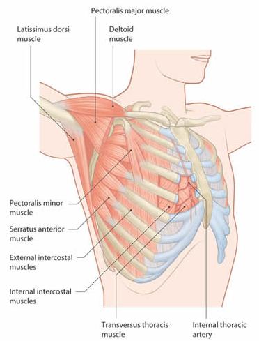 chestwall-tumour